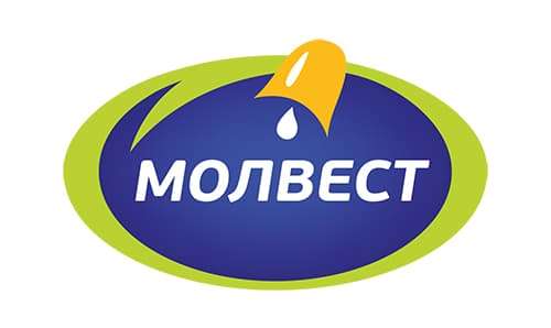 Фабрика «Молвест» Фабрика «Молвест»